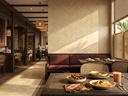 Viên gạch porcelain Lebert 75x300mm chụp chính diện