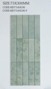 Viên gạch porcelain GARDON 75x300mm chụp chính diện