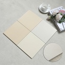 Mảng tường trong nhà ốp gạch porcelain 200x200mm hoạ tiết hoa men mờ