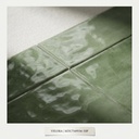 Viên gạch porcelain 75x300mm chụp chính diện trên nền sáng