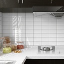 Viên gạch thẻ ceramic 75x150mm men bóng chụp chính diện