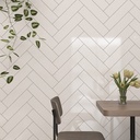 Viên gạch thẻ ceramic 100x400mm chụp chính diện