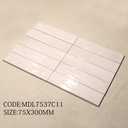Gạch porcelain CLAN SERIES 75x300mm chụp chính diện nguyên viên