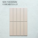 Gạch porcelain 75x300mm men mờ chụp chính diện nguyên viên