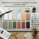 Gạch porcelain 75x300mm men mờ màu phẳng xương trắng