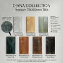 Gạch porcelain 75x300mm men mờ phủ hạt cát ánh bóng